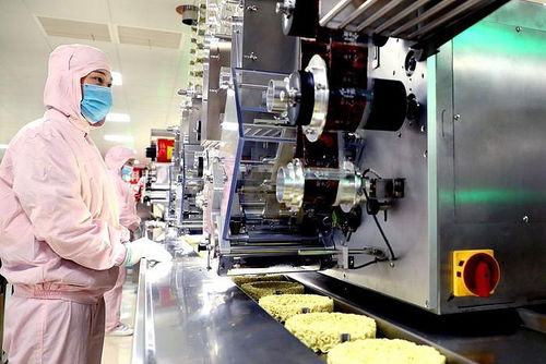 年產(chǎn)140億份全球最大方便面生產(chǎn)基地在河北一個農(nóng)業(yè)縣